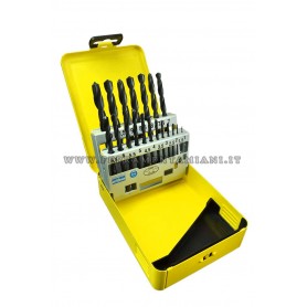 ASSORTIMENTO PUNTE HSS PER FERRO HAWERA 241064