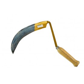 TAGLIETTO-FALCI-2087-1322087